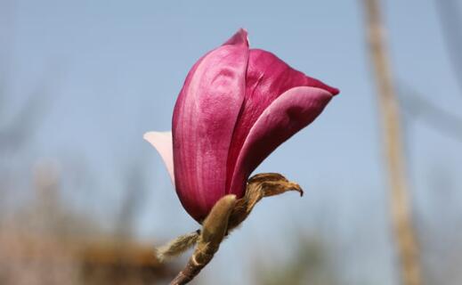 ӢQ(chng)Ⱦҕܓp,Ӣ(gu)Ⱥwָʲô